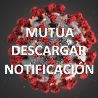 Cola MUTUA DESCARGAR NOTIFICACIÓN